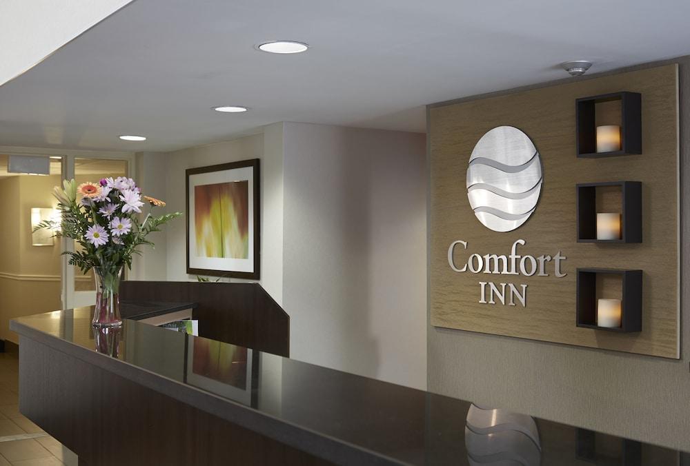 Comfort Inn Dryden Kültér fotó